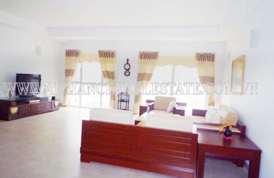 Apartment for Rent in Da Nang