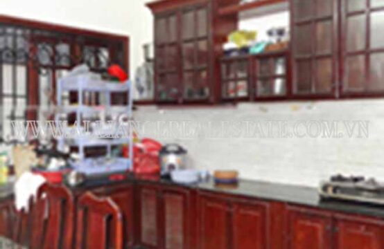 House for Rent in Thao Dien
