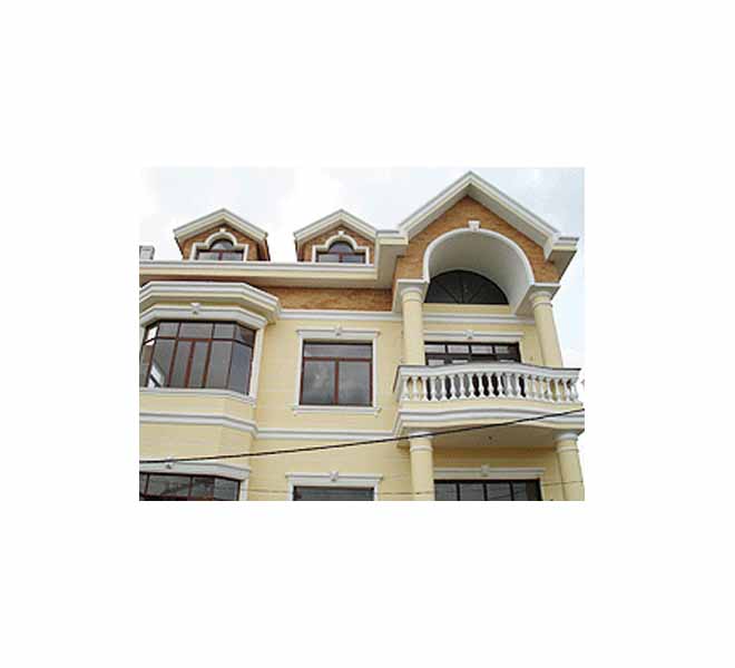 Villa For Rent in Thao Dien