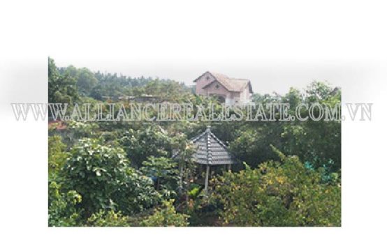 Villa For Rent in Thao Dien Ward District 2